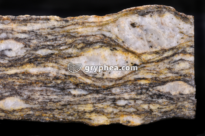 Gneiss oeillé - détail - gryphea.com